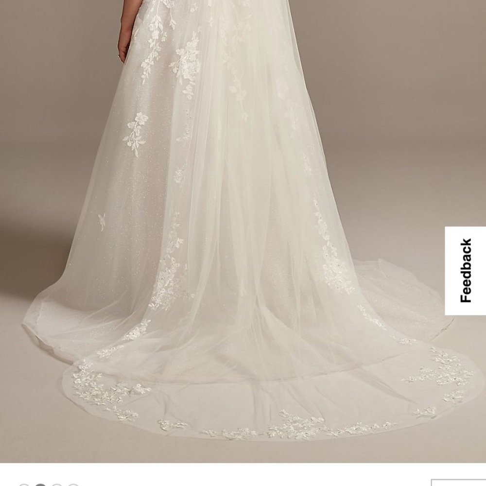 Ivory cathedral length veil
